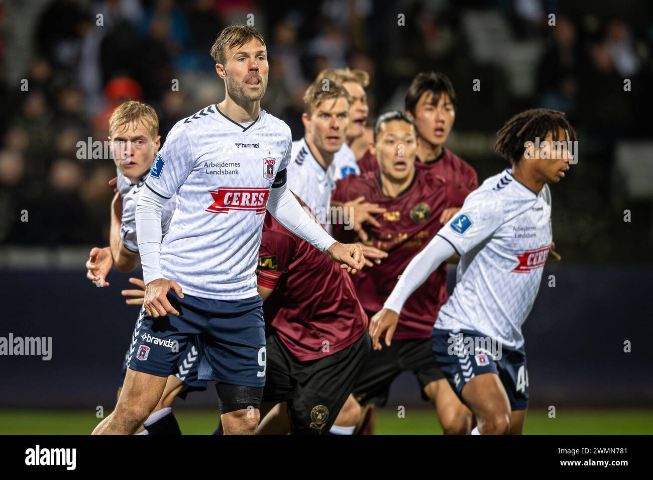 Aarhus, Danemark. 25 février 2024. Patrick Mortensen (9 ans) d'AGF vu lors du match de 3F Superliga entre Aarhus GF et FC Midtjylland au Ceres Park à Aarhus. (Crédit photo : Gonzales photo - Morten Kjaer). Banque D'Images