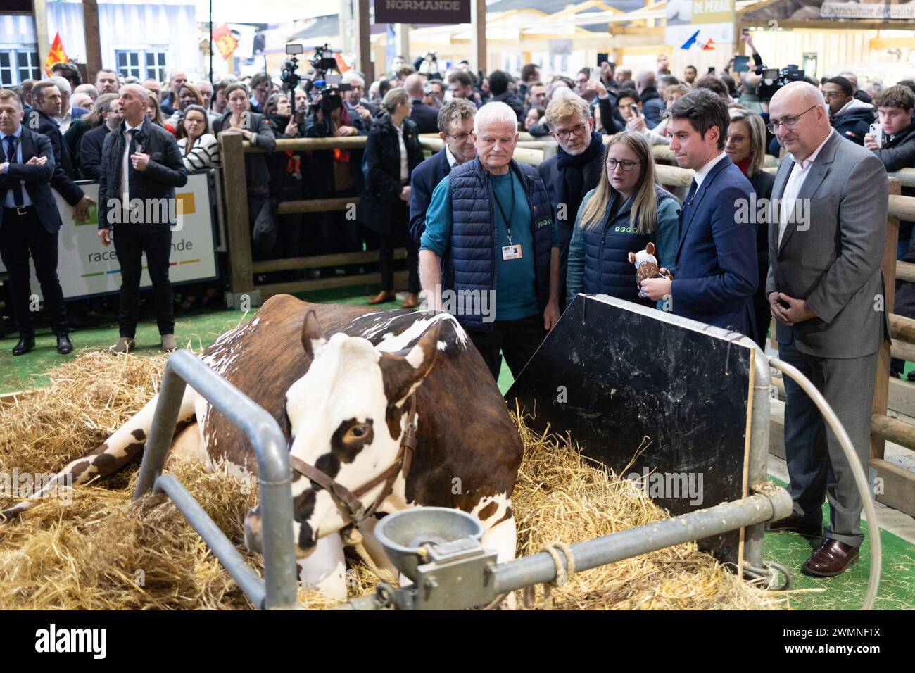 Paris, France. 27 février 2024. Le premier ministre français Gabriel Attal accueille la vache normande 'Oreillette' de l'éleveur français François Foucault comme vice-ministre de l'Agriculture et de la souveraineté alimentaire de la France, Agnes Pannier-Runacher, Marc Fesneau, ministre français de l'Agriculture et de la souveraineté alimentaire, et Jean-Luc Poulain, président de la SIA, s'en retrouvent lors de sa visite au 60e salon de l'Agriculture (SIA - salon de l'Agriculture), au parc des expositions de la porte de Versailles à Paris, le 27 février 2024. Photo de Raphael Lafargue/ABACAPRESS.COM crédit : Abaca Press/Alamy Live News Banque D'Images