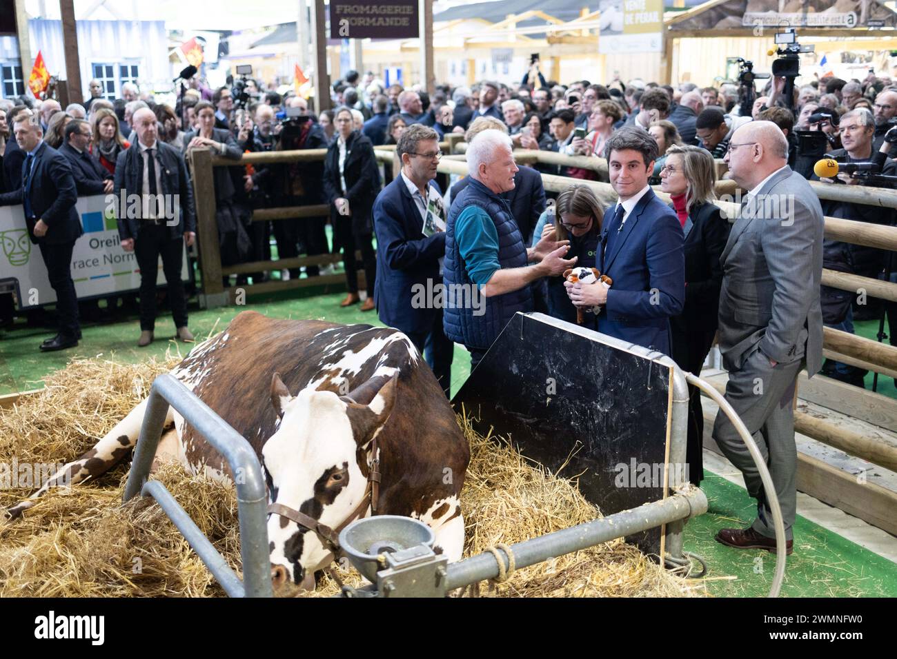 Paris, France. 27 février 2024. Le premier ministre français Gabriel Attal accueille la vache normande 'Oreillette' de l'éleveur français François Foucault comme vice-ministre de l'Agriculture et de la souveraineté alimentaire de la France, Agnes Pannier-Runacher, Marc Fesneau, ministre français de l'Agriculture et de la souveraineté alimentaire, et Jean-Luc Poulain, président de la SIA, s'en retrouvent lors de sa visite au 60e salon de l'Agriculture (SIA - salon de l'Agriculture), au parc des expositions de la porte de Versailles à Paris, le 27 février 2024. Photo de Raphael Lafargue/ABACAPRESS.COM crédit : Abaca Press/Alamy Live News Banque D'Images