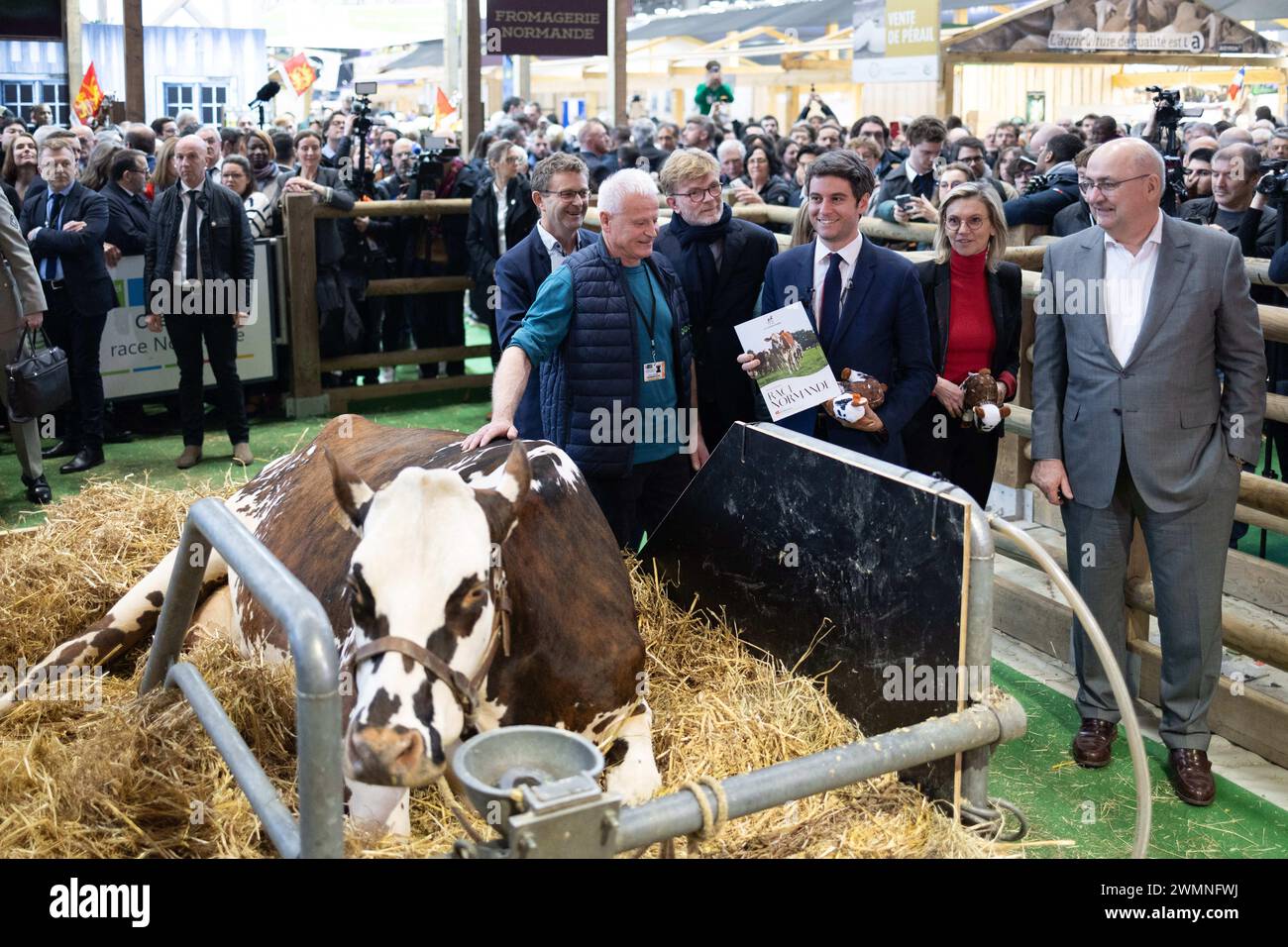 Paris, France. 27 février 2024. Le premier ministre français Gabriel Attal accueille la vache normande 'Oreillette' de l'éleveur français François Foucault comme vice-ministre de l'Agriculture et de la souveraineté alimentaire de la France, Agnes Pannier-Runacher, Marc Fesneau, ministre français de l'Agriculture et de la souveraineté alimentaire, et Jean-Luc Poulain, président de la SIA, s'en retrouvent lors de sa visite au 60e salon de l'Agriculture (SIA - salon de l'Agriculture), au parc des expositions de la porte de Versailles à Paris, le 27 février 2024. Photo de Raphael Lafargue/ABACAPRESS.COM crédit : Abaca Press/Alamy Live News Banque D'Images