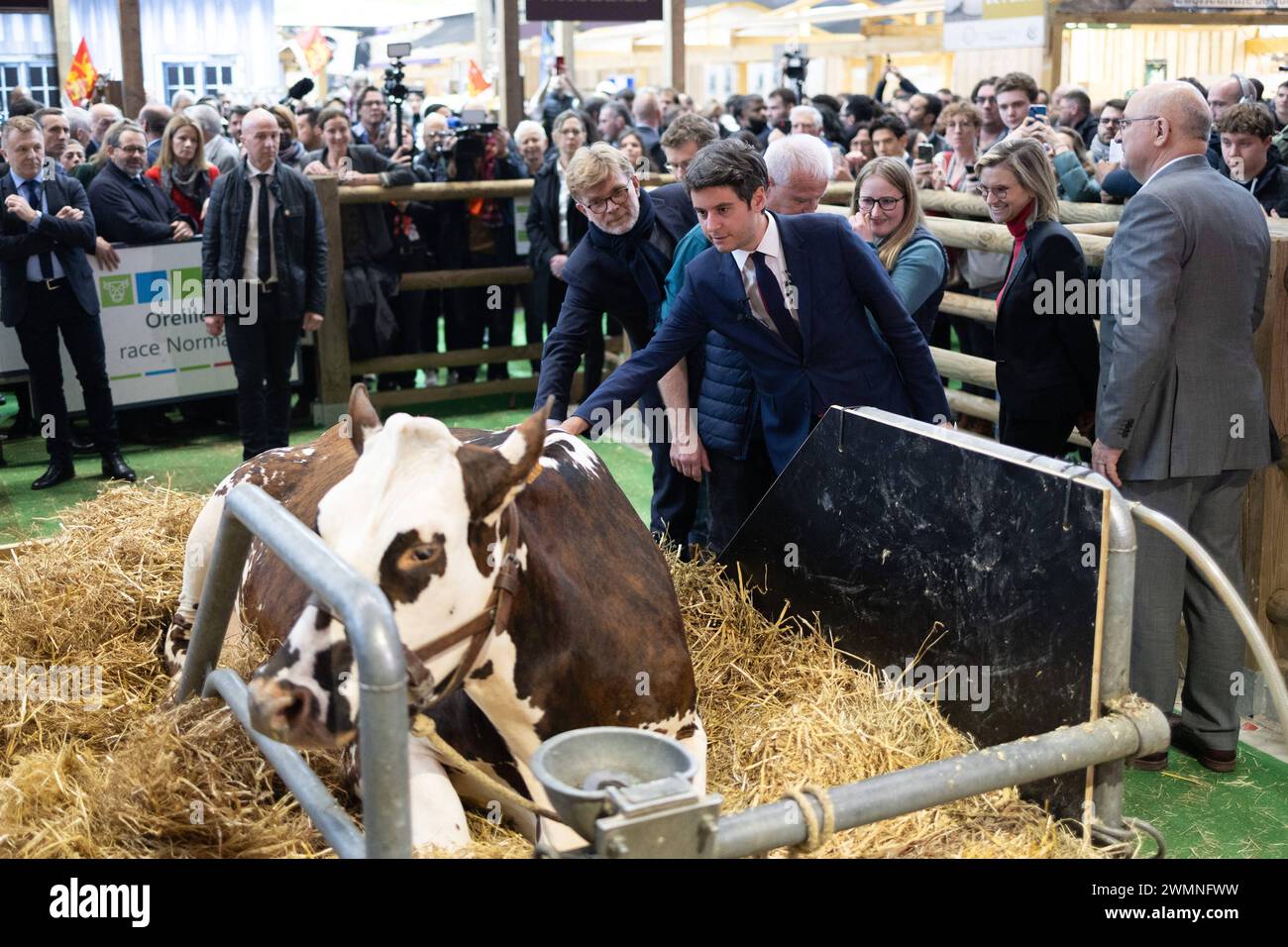 Paris, France. 27 février 2024. Le premier ministre français Gabriel Attal accueille la vache normande 'Oreillette' de l'éleveur français François Foucault comme vice-ministre de l'Agriculture et de la souveraineté alimentaire de la France, Agnes Pannier-Runacher, Marc Fesneau, ministre français de l'Agriculture et de la souveraineté alimentaire, et Jean-Luc Poulain, président de la SIA, s'en retrouvent lors de sa visite au 60e salon de l'Agriculture (SIA - salon de l'Agriculture), au parc des expositions de la porte de Versailles à Paris, le 27 février 2024. Photo de Raphael Lafargue/ABACAPRESS.COM crédit : Abaca Press/Alamy Live News Banque D'Images