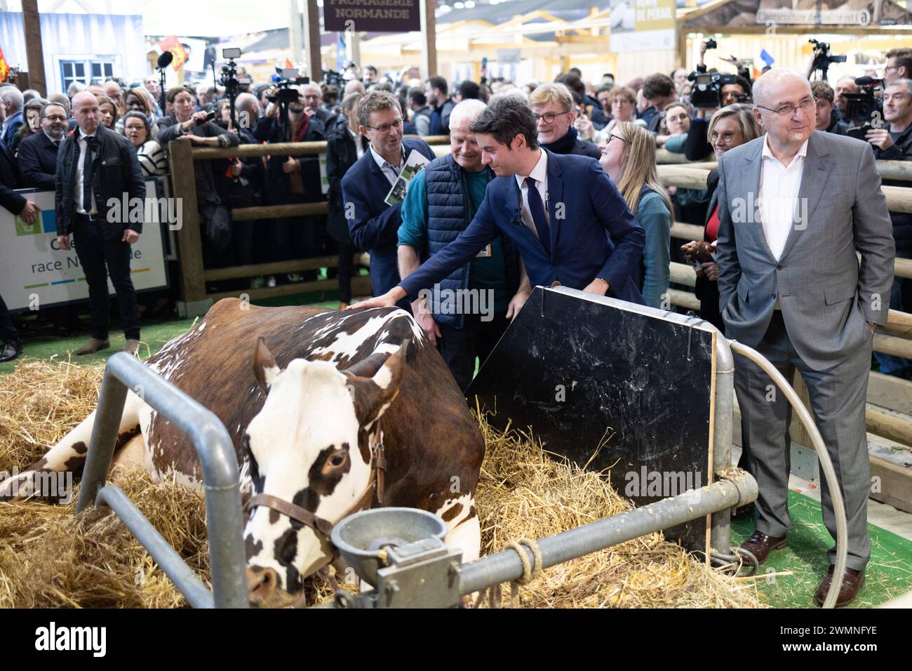 Paris, France. 27 février 2024. Le premier ministre français Gabriel Attal accueille la vache normande 'Oreillette' de l'éleveur français François Foucault comme vice-ministre de l'Agriculture et de la souveraineté alimentaire de la France, Agnes Pannier-Runacher, Marc Fesneau, ministre français de l'Agriculture et de la souveraineté alimentaire, et Jean-Luc Poulain, président de la SIA, s'en retrouvent lors de sa visite au 60e salon de l'Agriculture (SIA - salon de l'Agriculture), au parc des expositions de la porte de Versailles à Paris, le 27 février 2024. Photo de Raphael Lafargue/ABACAPRESS.COM crédit : Abaca Press/Alamy Live News Banque D'Images
