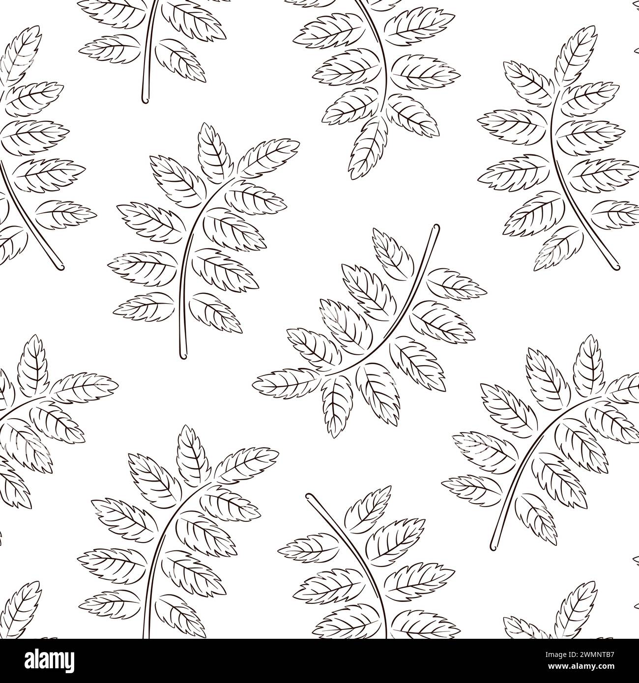 Modèle sans couture avec feuille de rowan dans le style art au trait. Texture de feuille abstraite pour papier peint, remplissages de motif, fond de page Web. Illustration vectorielle sur un Illustration de Vecteur