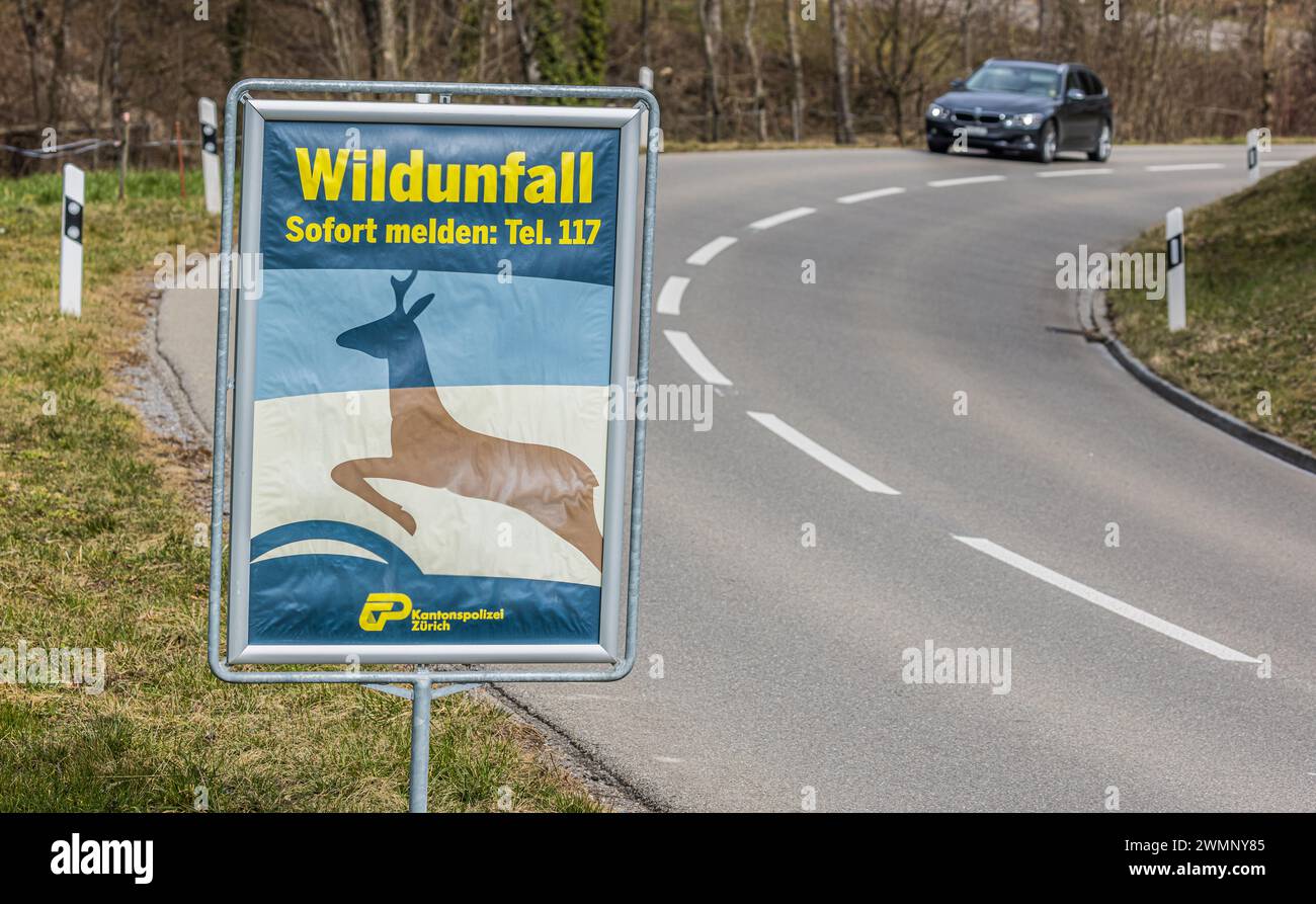 Ein Schild der Kantonspolizei Zürich soll Autofahrer auf das Verhalten BEI einem Wildunfall sensibiliseren. (Freienstein-Teufen, Schweiz, 06.03.2023) Banque D'Images