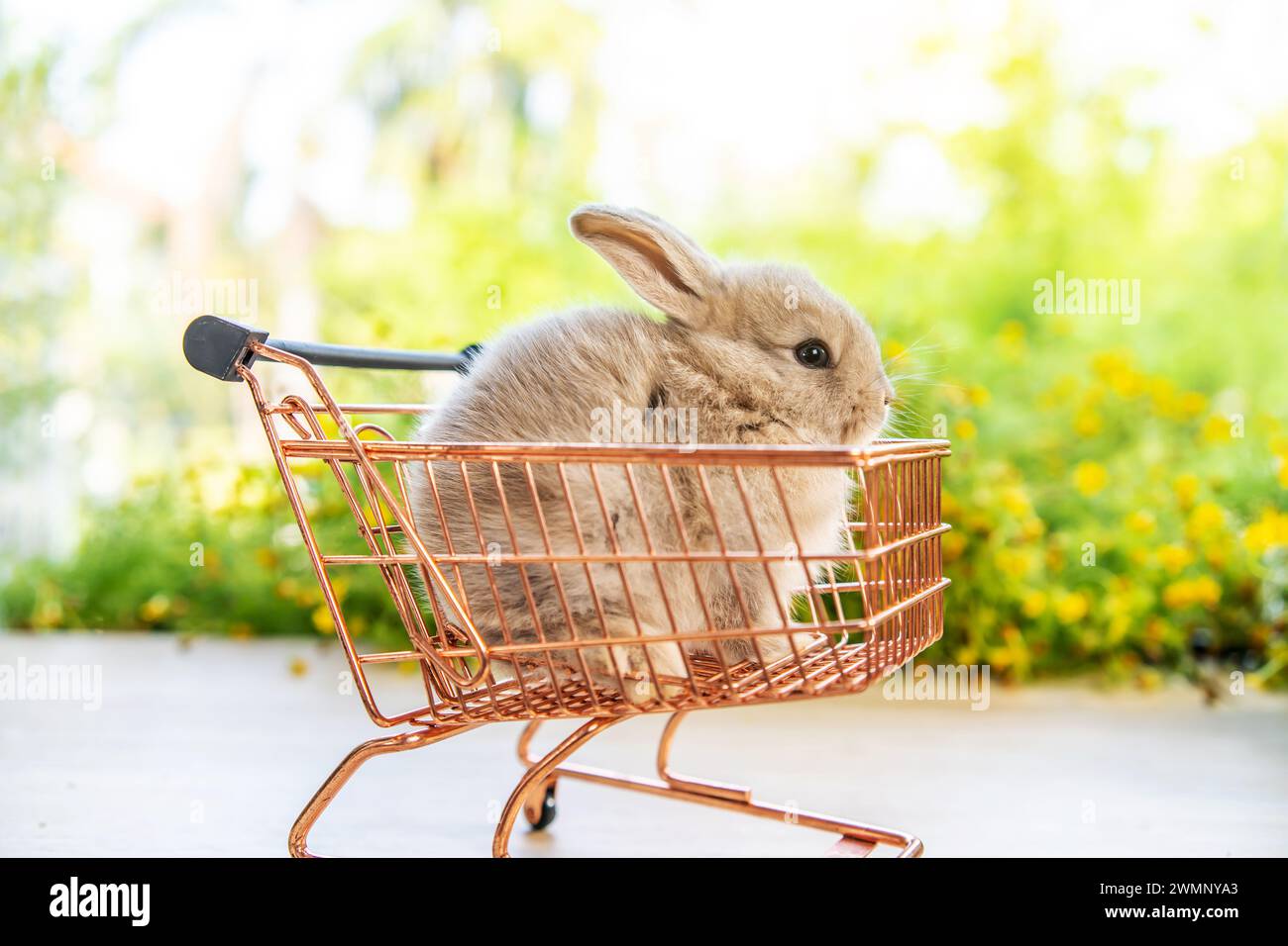 Un joli lapin est assis dans un panier en fil de fer entouré d'herbe. Banque D'Images