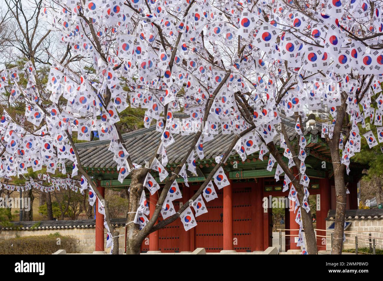 Séoul, Corée du Sud. 27 février 2024. Les arbres sont décorés de Taegeukgi, les drapeaux nationaux de la Corée du Sud à l'entrée du parc Hyochang dans le centre de Séoul pour commémorer le jour du mouvement pour l'indépendance de la Corée. Le jour du mouvement pour l'indépendance coréenne, également connu sous le nom de mouvement du 1er mars, est un important mouvement de protestation des Coréens au début de 1919 pour réclamer l'indépendance du Japon et la fin de l'assimilation forcée dans la culture japonaise. Crédit : SOPA images Limited/Alamy Live News Banque D'Images