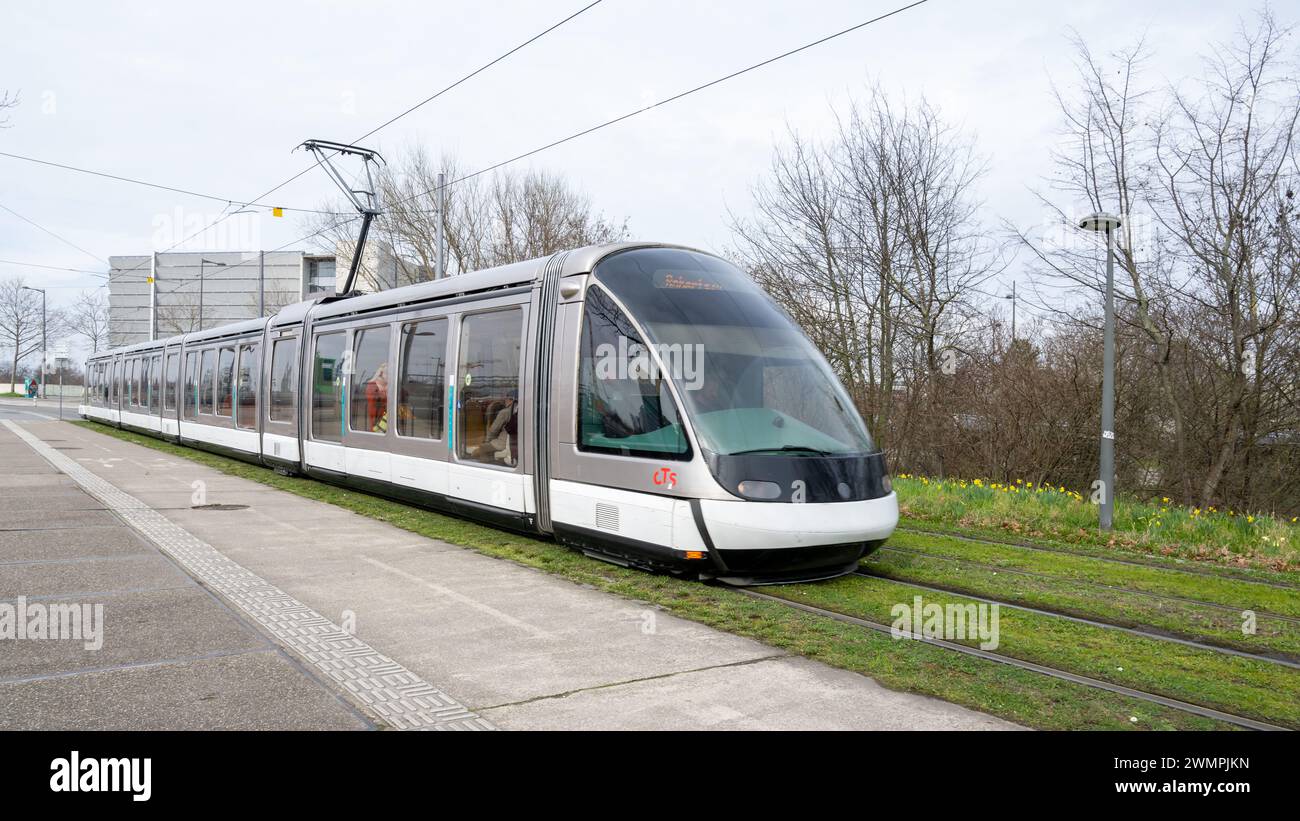 , Symbole, Frankreich, , Straßburg, , 27.02.2024, moderne Straßenbahn fährt auf Schienen neben Frühlingsblumen. Banque D'Images