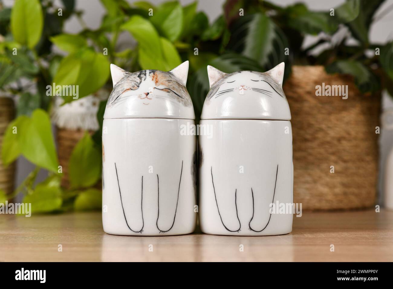 Allemagne - octobre 2023 : deux urnes pour chats sur mesure sur la table Banque D'Images