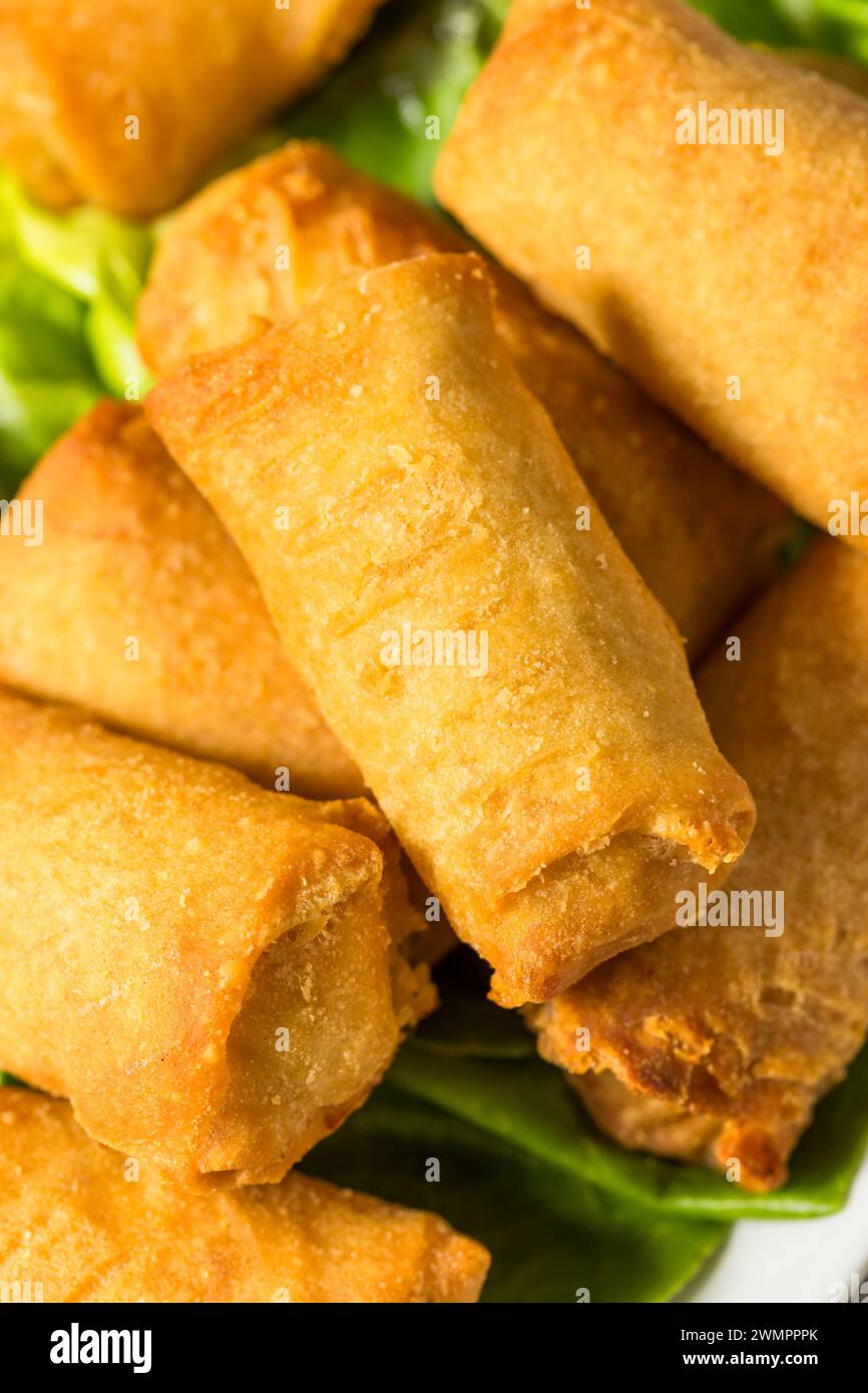 Rouleaux chinois d'oeufs de légumes frits avec sauce trempée Banque D'Images