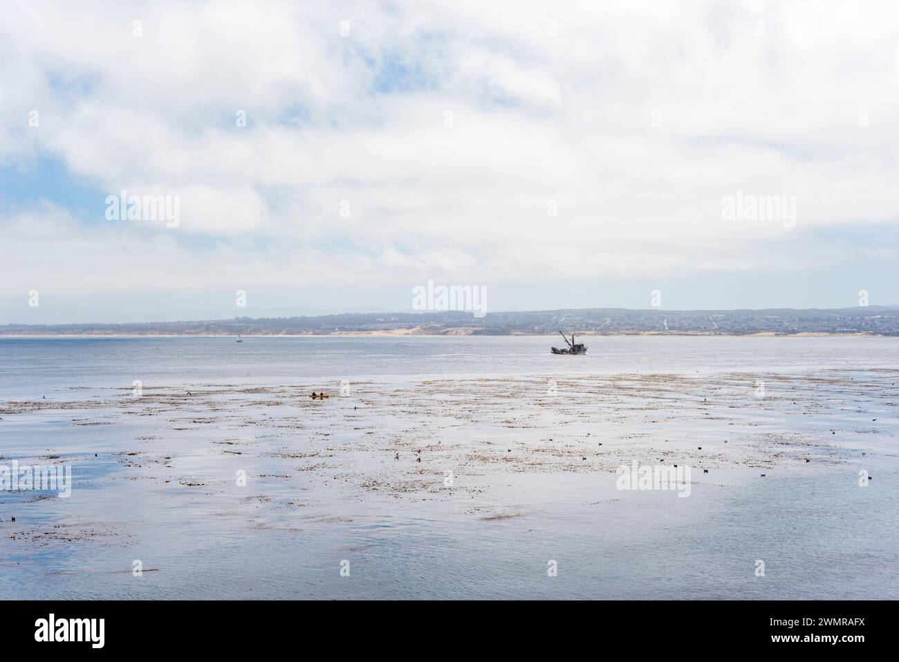 Un bateau de pêche traverse la baie de Monterey par une journée nuageuse avec la côte californienne au loin. Les lits de varech couvrent la surface de l'océan à proximité. Banque D'Images