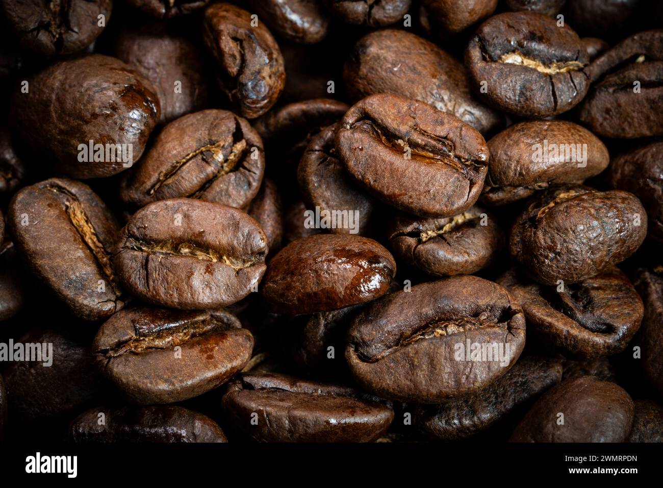 Close-up of roasted Coffee beans Banque D'Images
