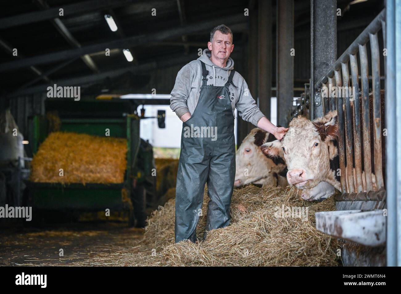 16 février 2024, Pontyberem, pays de Galles. Ancien arbitre international de rugby, Nigel Owens, photographié dans sa ferme à Pontyberem, Carmarthenshire. Banque D'Images