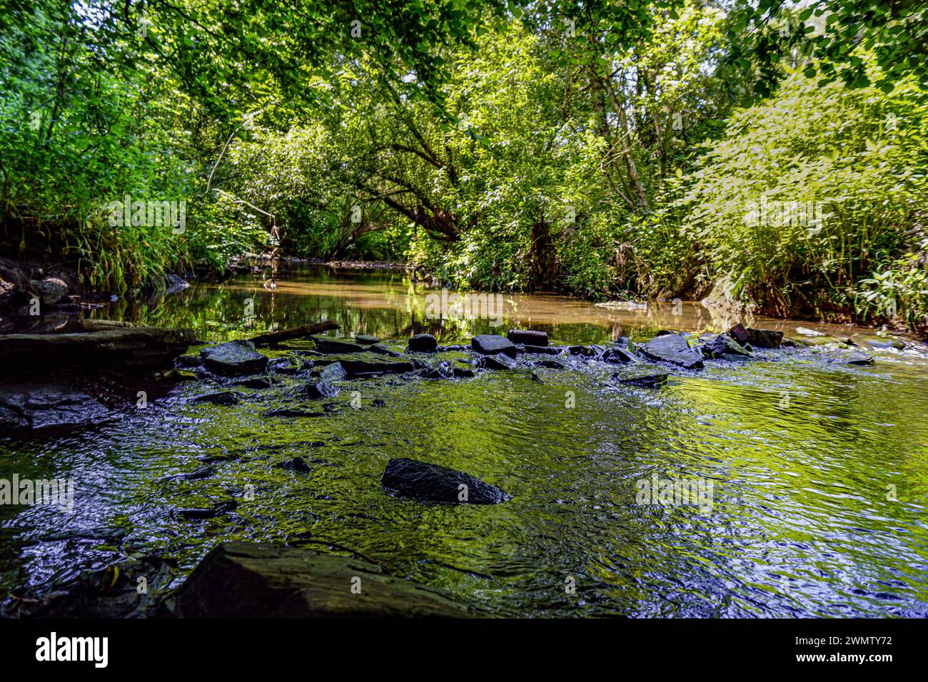 Ruisseau tranquille avec des rochers dans un cadre boisé serein Banque D'Images