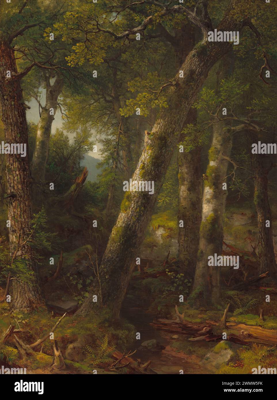 Durand Asher Brown - Forêt dans la lumière du matin (1855c.) Banque D'Images