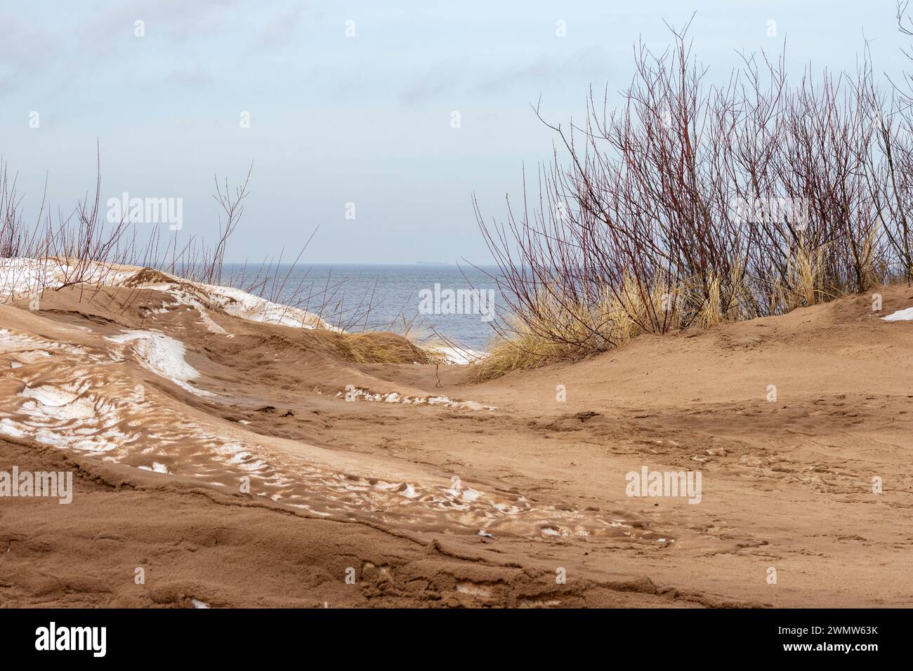 Dunes de la mer Baltique avec oursins sur fond de mer Banque D'Images