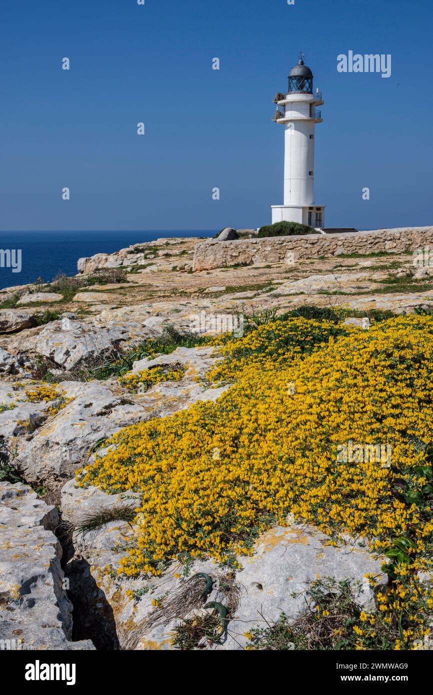 Phare de Cap Barbaria, Formentera, Iles Pitiusa, Communauté des Baléares, Espagne Banque D'Images