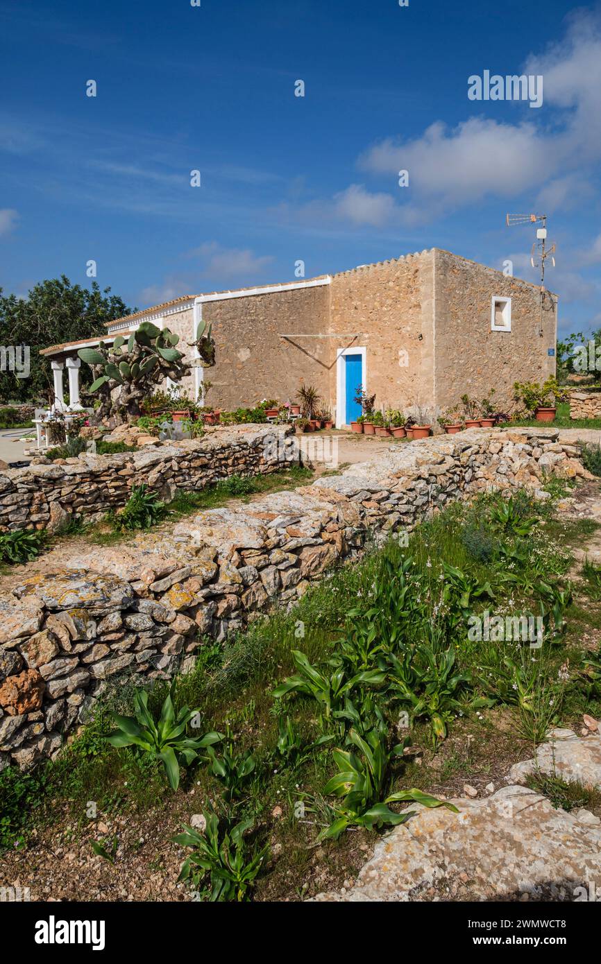 Murs traditionnels en pierre, maison rurale typique, Formentera, Iles Pitiusa, Communauté des Baléares, Espagne Banque D'Images