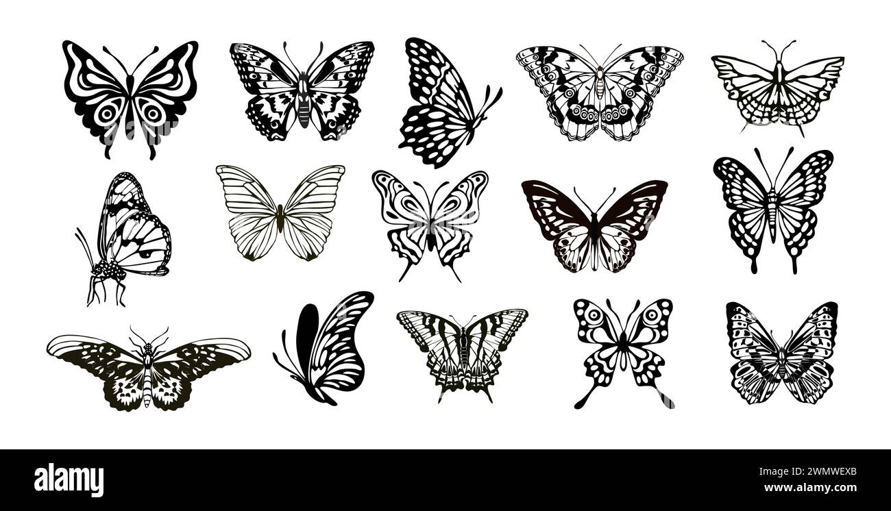 Faisceau de différents types de papillons isolés. Illustration de Vecteur