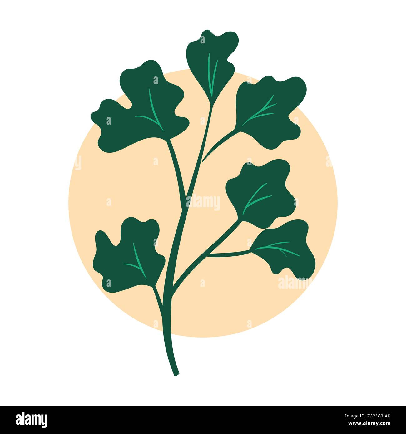 concept de conception d'illustration d'art de la plante de fond laisse des fleurs Illustration de Vecteur
