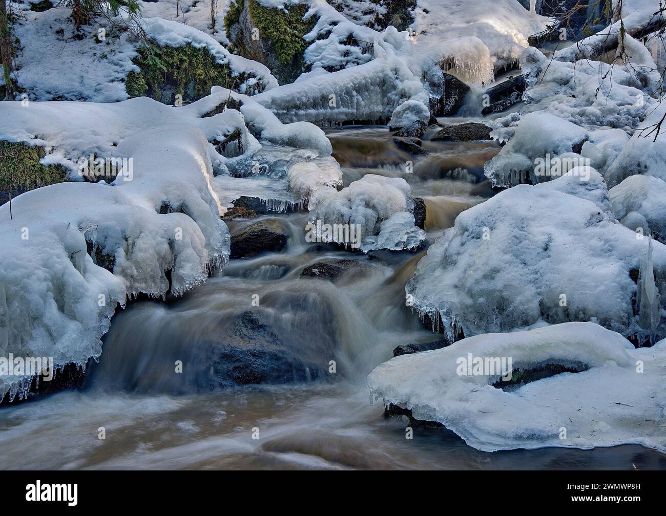 Brinkbäcken Grödinge Södermanland Suède Banque D'Images