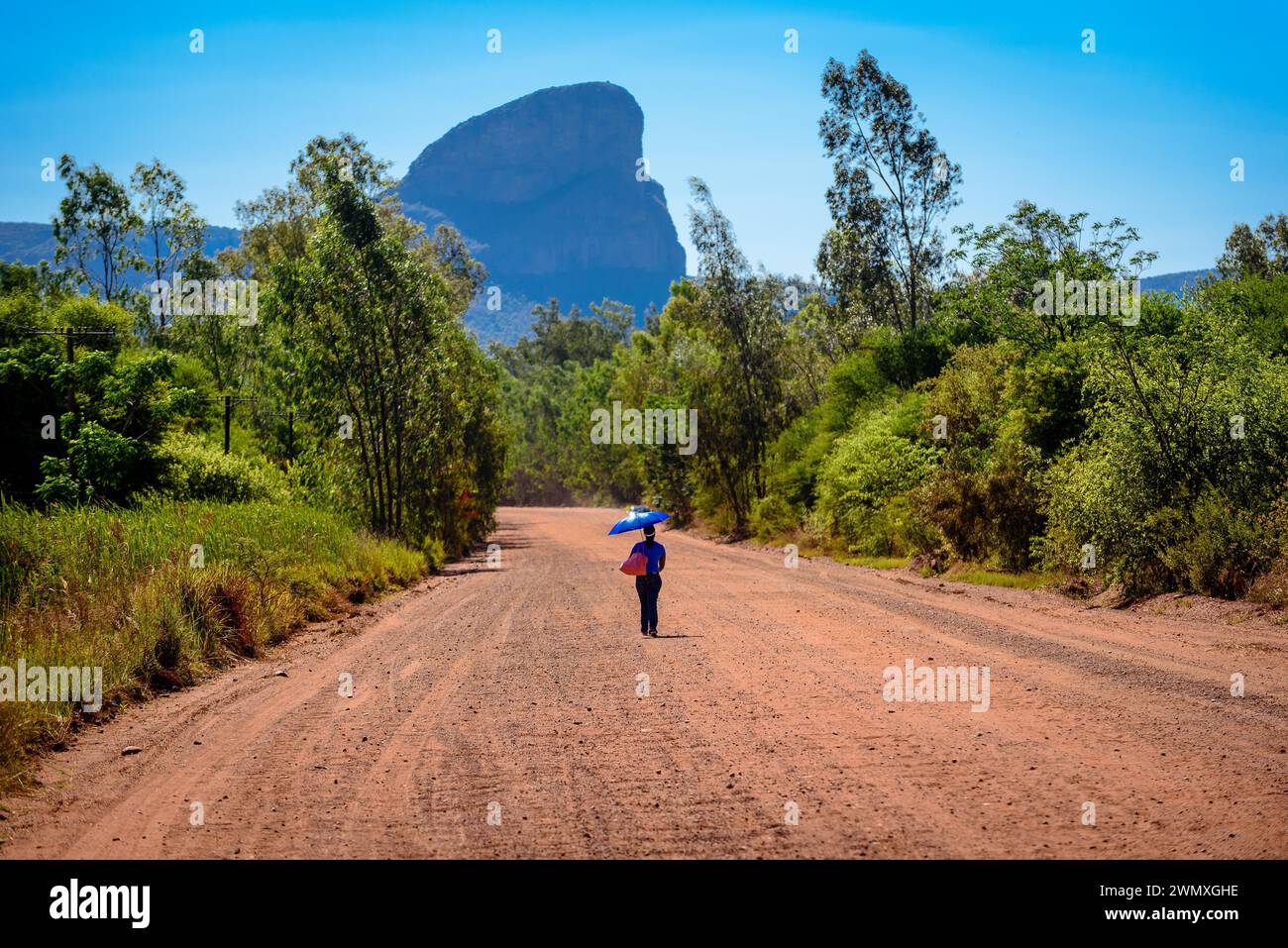 Personne seule avec parapluie marchant sur une route de campagne poussiéreuse avec montagne en arrière-plan, Waterberg, Afrique du Sud Banque D'Images
