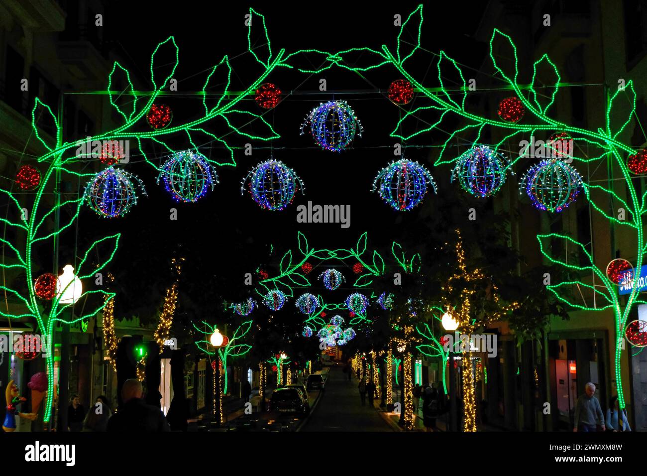 Lumières de Noël, feuilles, fleurs, Funchal, île de Madère Banque D'Images