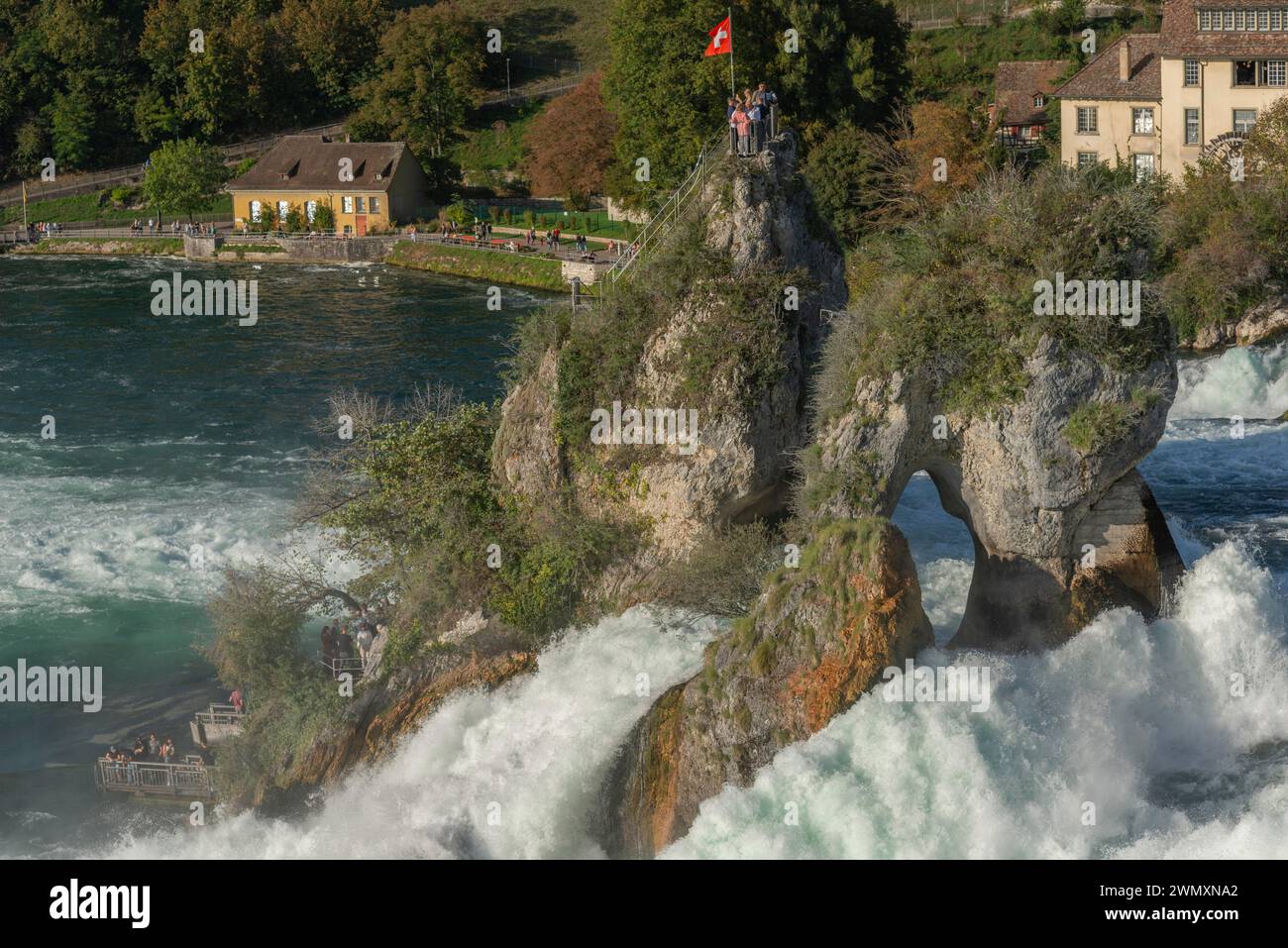 Chutes du Rhin vues du château de Laufen, île rocheuse, drapeau suisse, jet, moulin à eau, canton de Zurich, sur Neuhausen, Suisse Banque D'Images