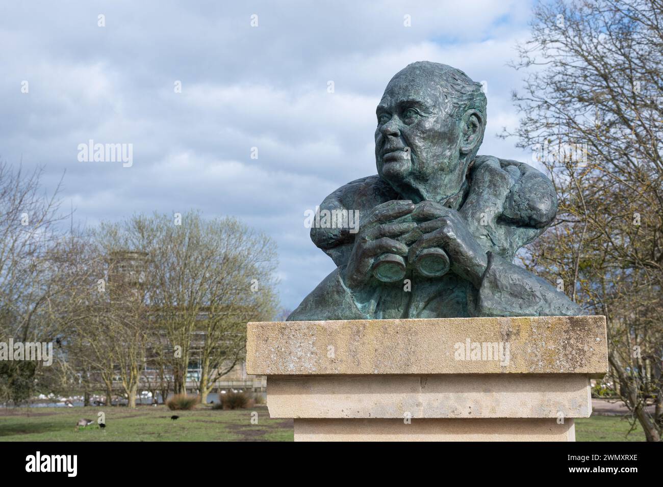 Statue en bronze ou buste du défenseur de la nature Sir Peter Scott tenant des jumelles au WWT Slimbridge Wetland Centre, Gloucestershire, Angleterre, Royaume-Uni Banque D'Images