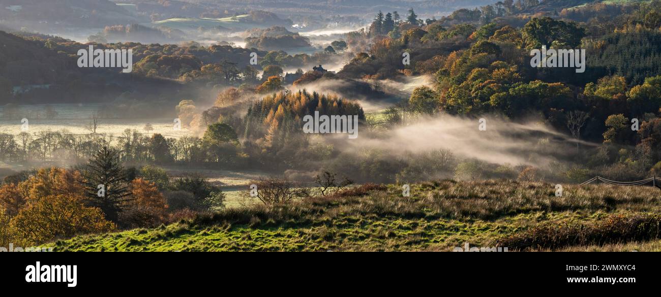 Matin d'automne brumeux dans la zone panoramique nationale de Fleet Valley, près de Gatehouse of Fleet, Dumfries & Galloway, Écosse Banque D'Images