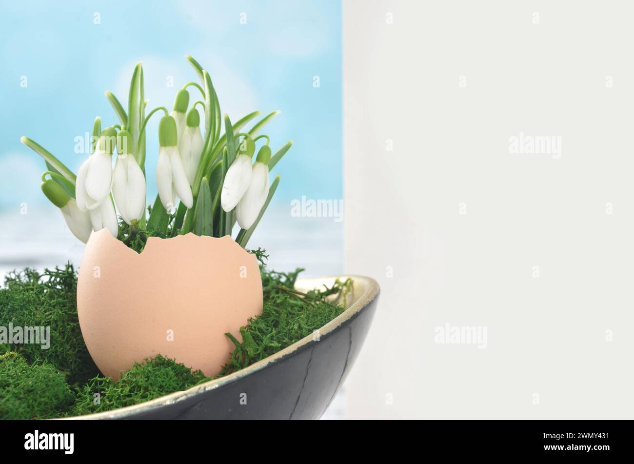 Page blanche à remplir avec du contenu avec pâques, décoration à la main : coquille d'œuf, gouttes de neige et mousse. Banque D'Images