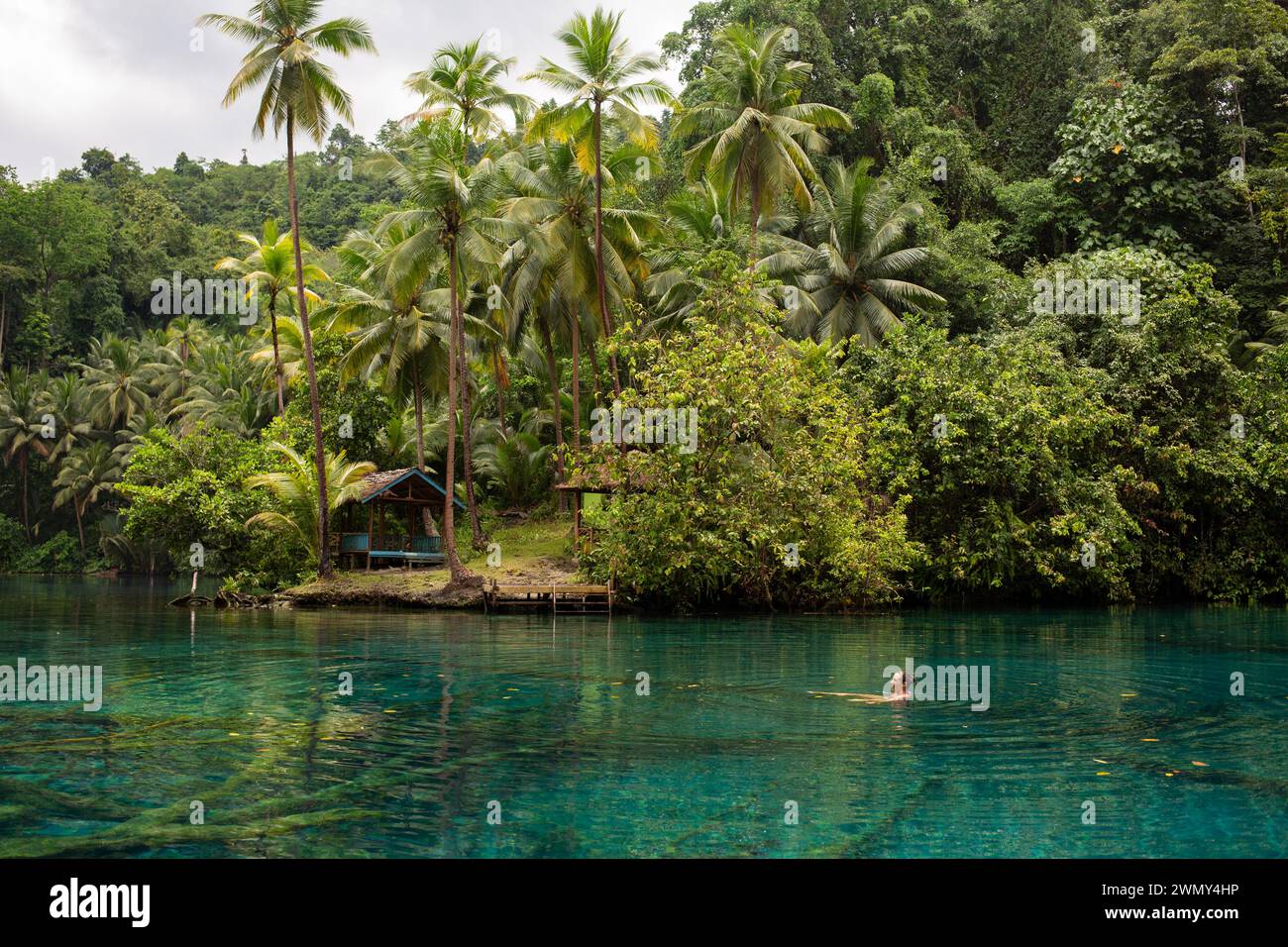 Une femme touriste nageant au lac Paisu Pok à Luk Panenteng, Banggai, Sulawesi, Indonésie. Banque D'Images