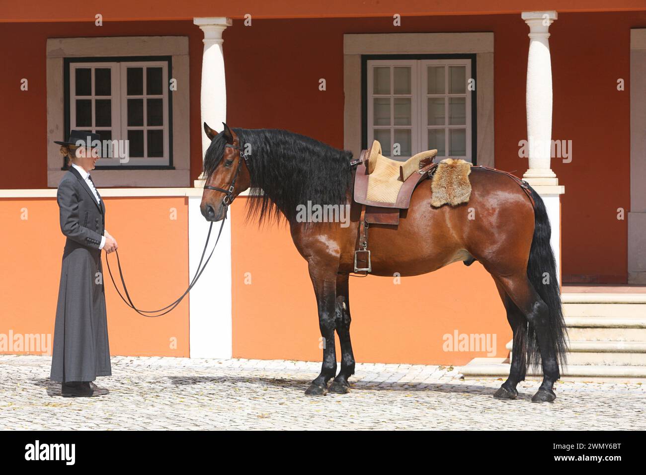 Lusitano. L'étalon de baie Beruc se tient avec une selle traditionnelle et une dame en robe d'équitation dans la cour du haras Quinta da Ferraria au Portugal Banque D'Images