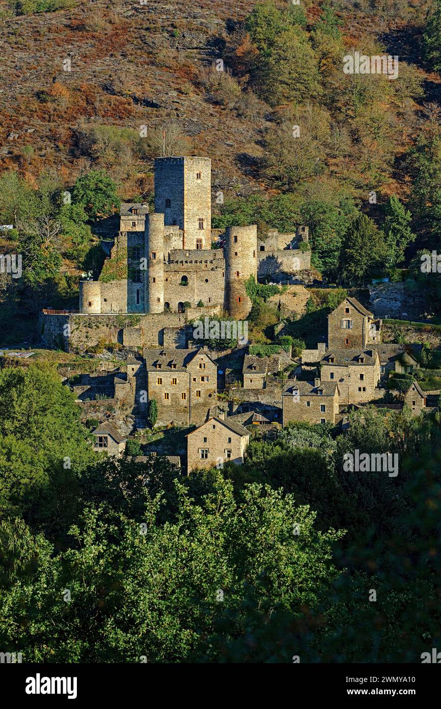 France, Aveyron, Belcastel, labellisé l'un des plus beaux villages de France, château, 10 ème siècle Banque D'Images