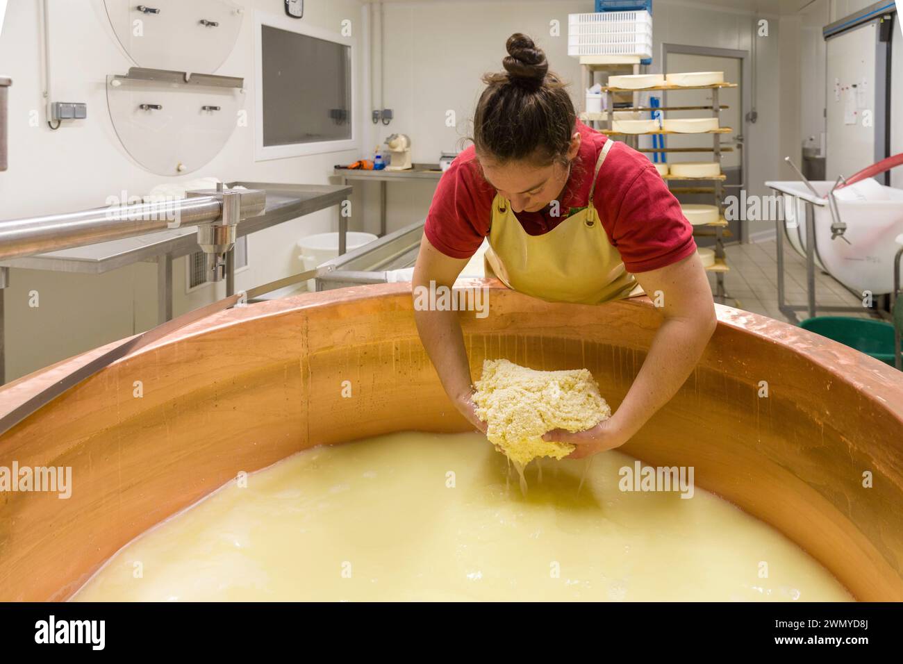 France, Indre et Loire, les-Hermites, fromagerie de Lucie, dans le laboratoire de fromagerie les caillés sont collectés au fond de la cuve de cuivre Banque D'Images