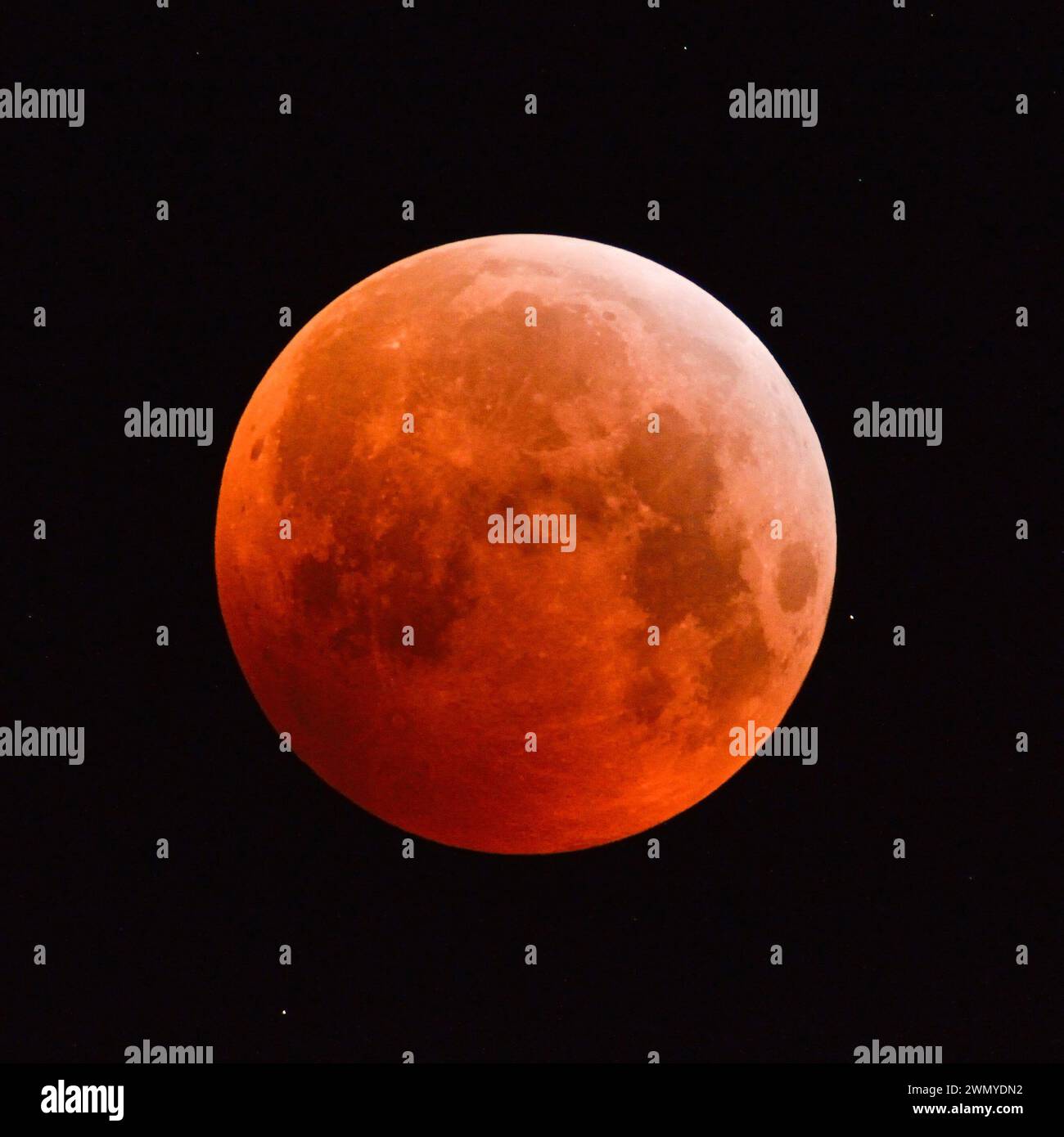Eclipse de la super lune, éclipse lunaire, super lune rouge, lune de sang / Blutmond, pleine lune orange rouge avec des étoiles scintillantes, 21 janvier 2019, Allemagne. Banque D'Images