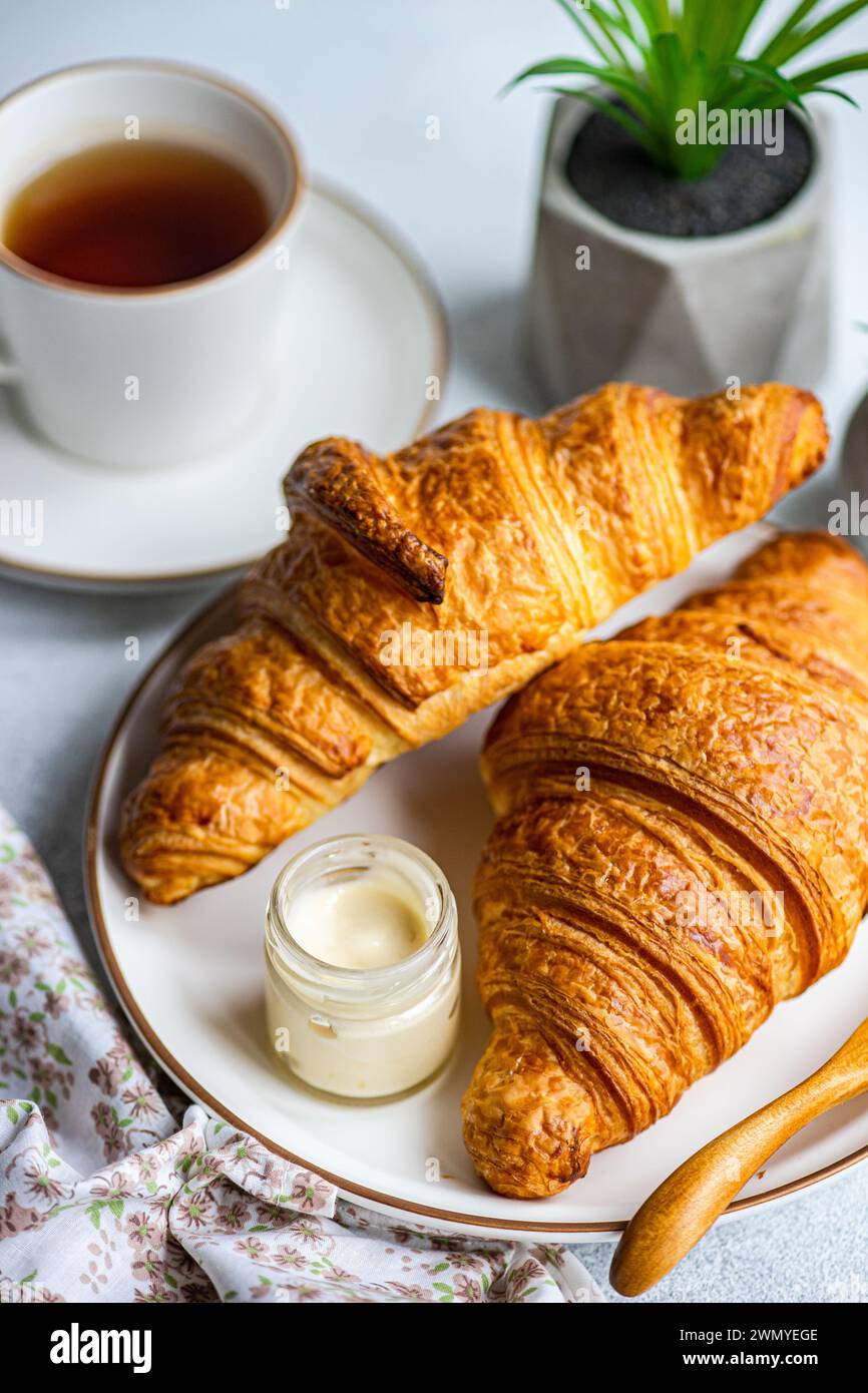 Gros plan d'un petit-déjeuner chaleureux et accueillant avec des croissants frais, un pot clair de miel crémeux et une tasse de thé à la vapeur, avec des succulents verts Banque D'Images