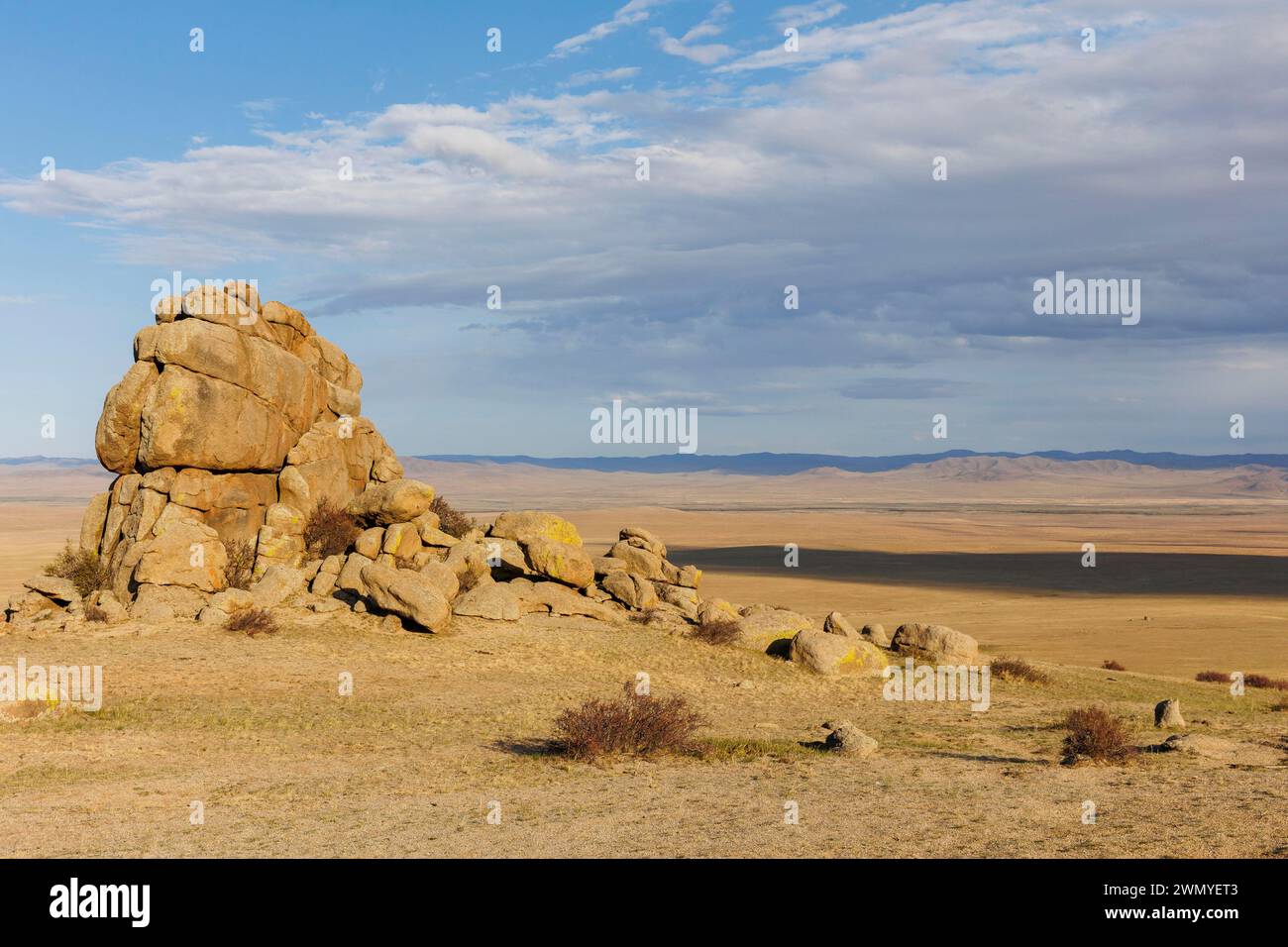 Mongolie, parc national de Hustai, où le cheval de Przewalski (Equus caballus przewalskii ou Equus ferus przewalskii) a été relâché à partir de 1993 dans le parc national de Khustain Nuruu Banque D'Images