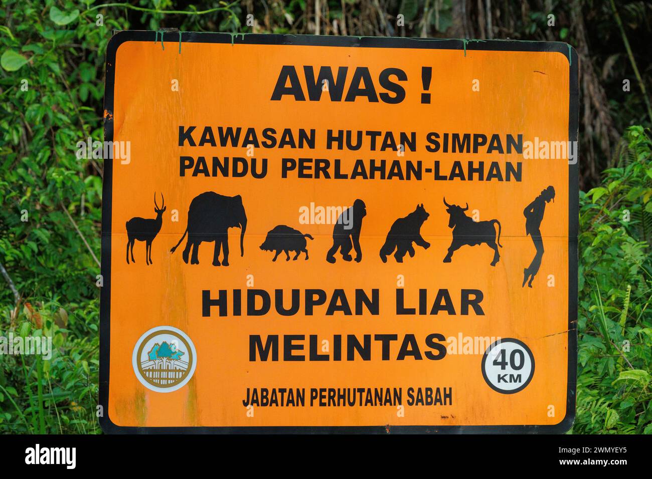 Malaisie, Bornéo, Sabah, réserve naturelle de Tabin, panneau de limitation de vitesse à l'entrée de la forêt, mesure de protection de la faune, avertissement sur la traversée de la faune. Notez Michael Jackson à droite Banque D'Images