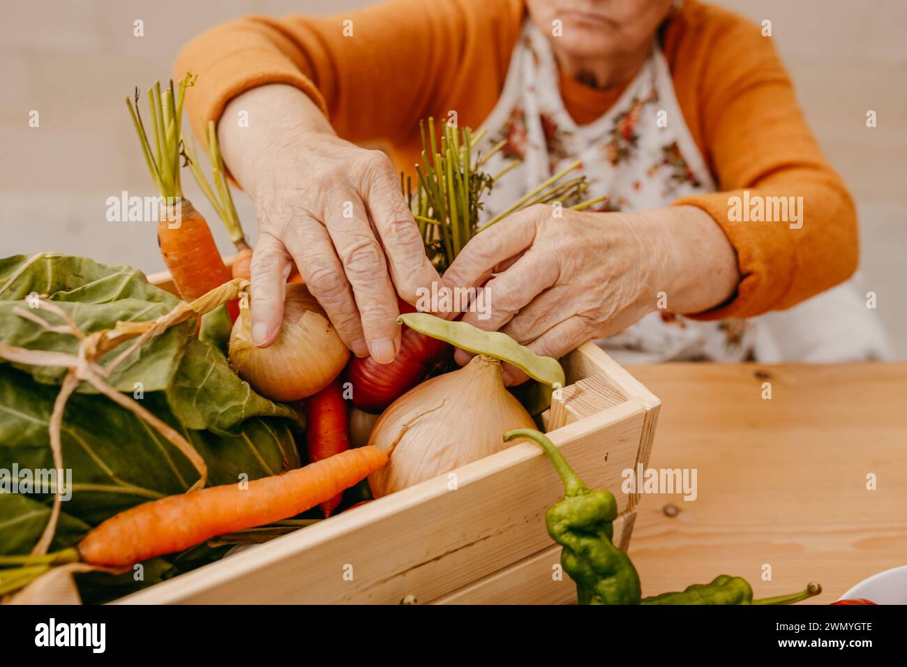 Personne âgée organisant une variété de légumes fraîchement récoltés dans une boîte en bois sur une table Banque D'Images