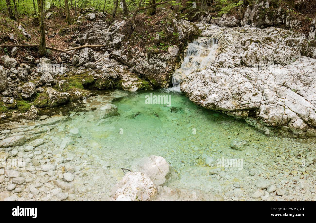 Petite cascade dans la forêt profonde en Slovénie Banque D'Images