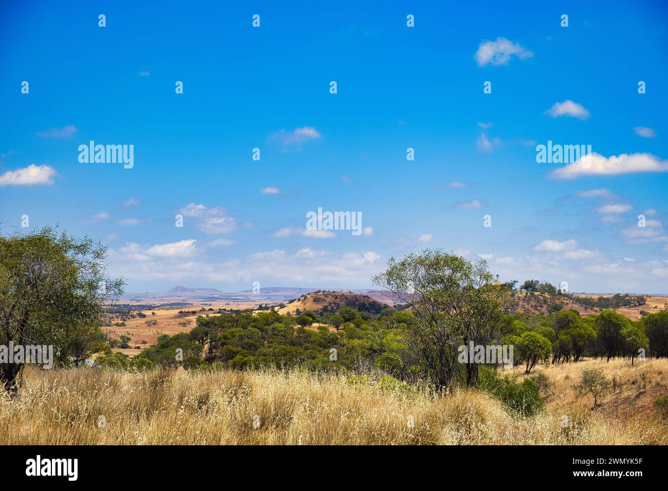 Vue du pays vallonné dans la région du Grand Geraldton, Australie occidentale, une zone de transition entre la ceinture de blé et l'outback Banque D'Images