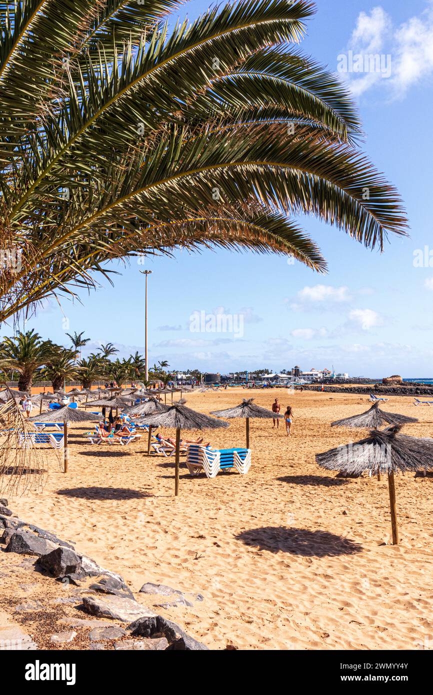 La plage de Caleta de Fuste sur la côte est de l'île Canaries de Fuerteventura, Espagne Banque D'Images