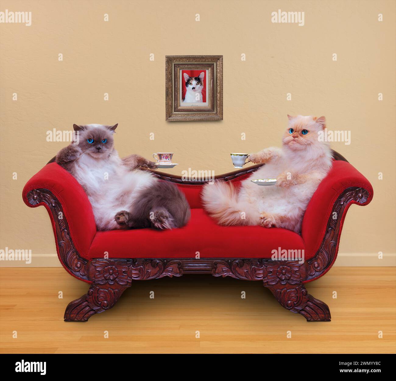Deux chats apprécient le tome de thé sur un canapé rouge dans une image drôle d'animal de compagnie. Banque D'Images