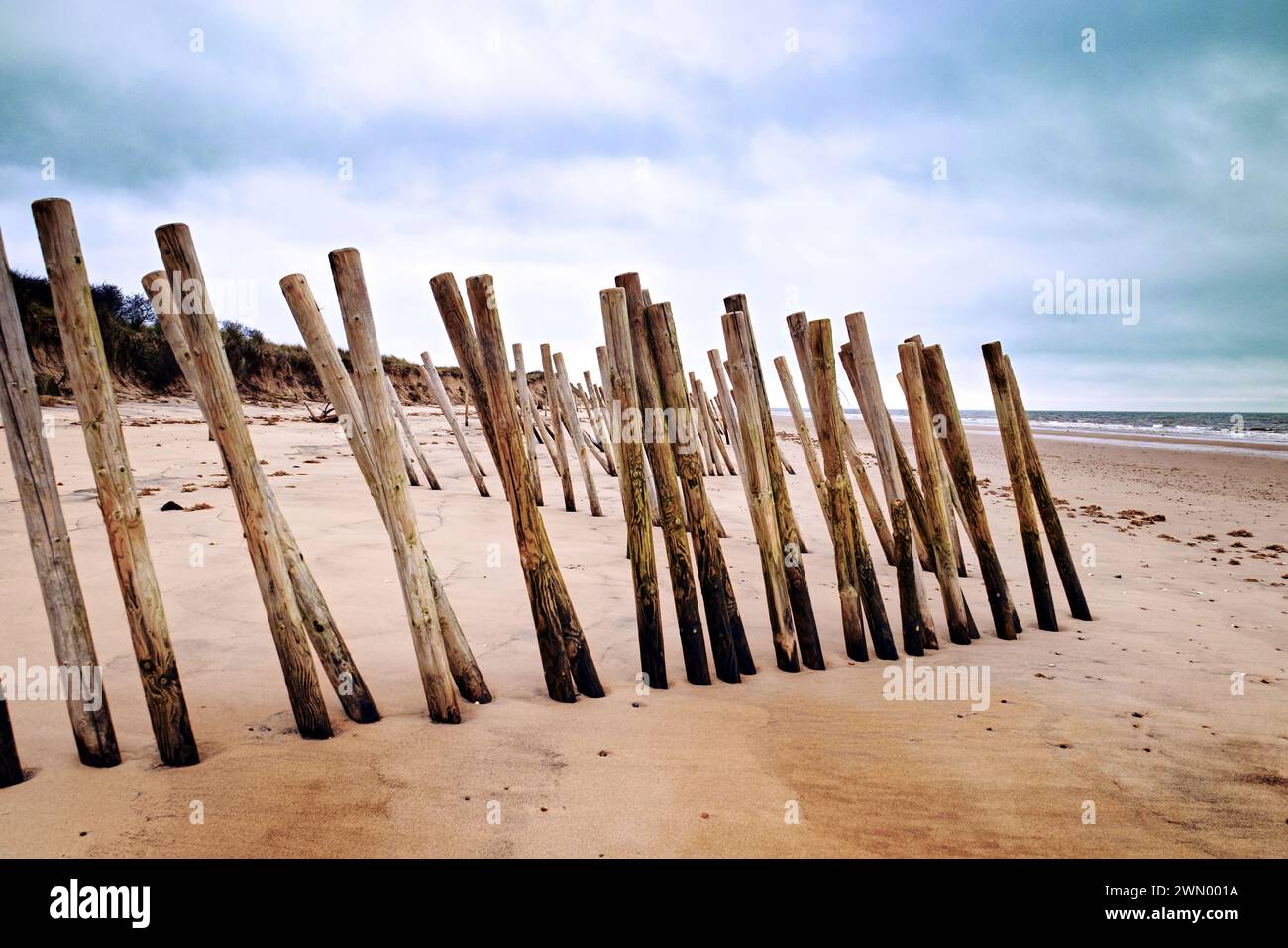 Holme-next-the-Sea, Hunstanton, Norfolk, Angleterre, Royaume-Uni - des piles de bois enfoncées dans le sable comme défense maritime pour protéger les dunes derrière la plage Banque D'Images