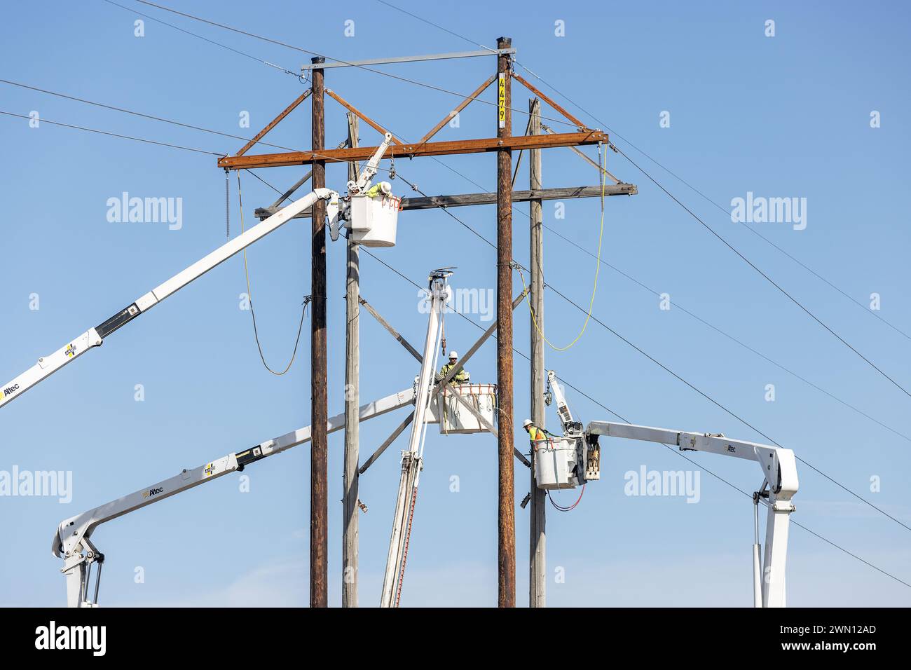 Équipe de maintenance Midwest d'ITC remplaçant une tour de transmission électrique en bois à châssis H de 161 kilovolts dans un champ agricole près de Danville, Iowa. Banque D'Images