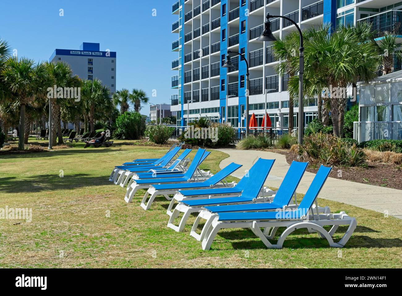 Rangée de chaises longues bleues sur la pelouse des gratte-ciel hôtels à Myrtle Beach, Caroline du Sud — 21 février 2024 Banque D'Images