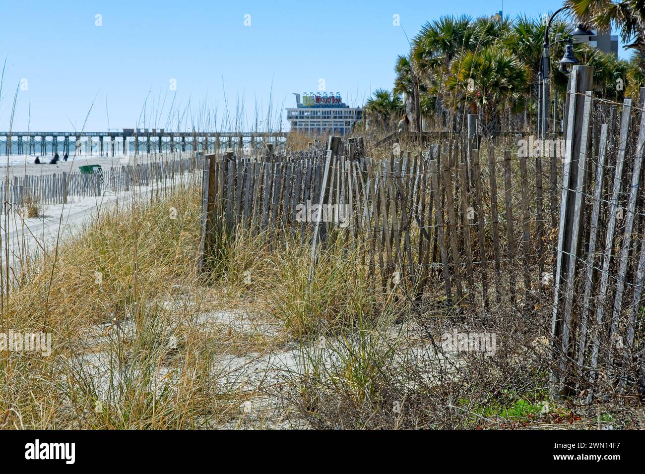 Clôture de sable altérée dans les dunes herbeuses, lointaine jetée de la deuxième Avenue à Myrtle Beach, Caroline du Sud — 21 février 2024 Banque D'Images