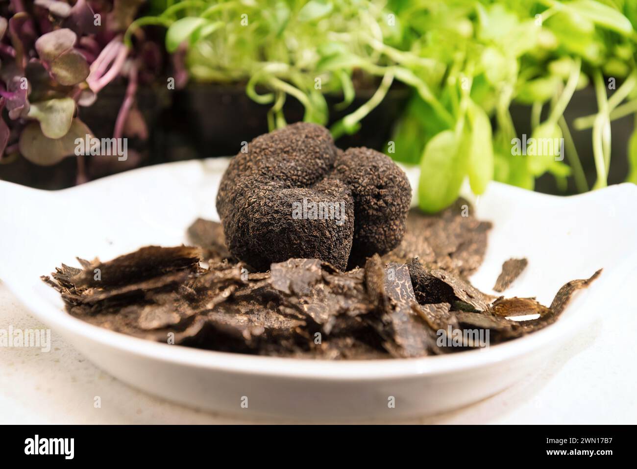 Périgord champignon de truffe noire avec des flocons tranchés sur un plat en céramique blanche Banque D'Images