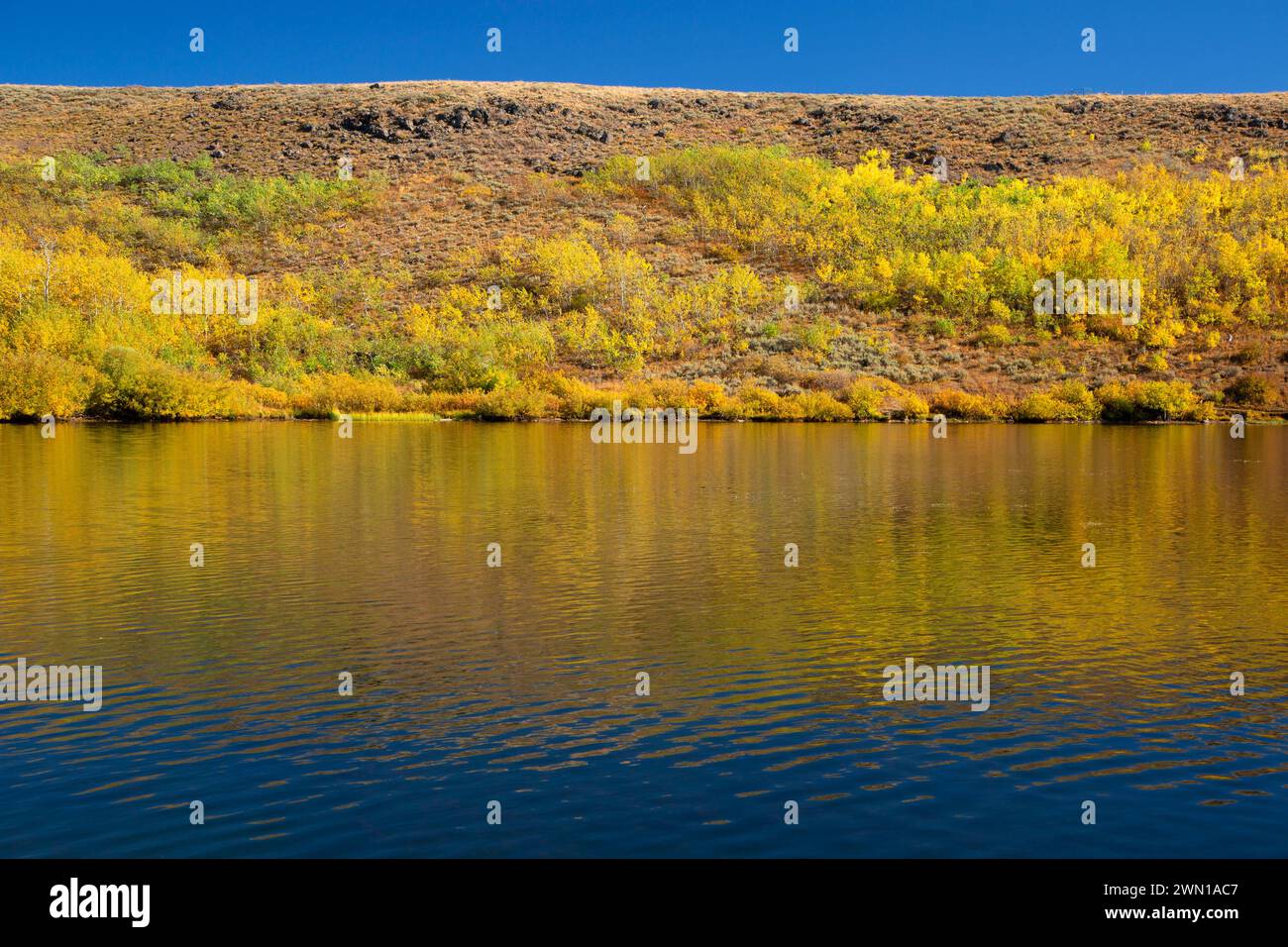 Fish Lake, Steens Mountain Cooperative Management and protection Area, Steens Mountain Backcountry Byway, Oregon Banque D'Images