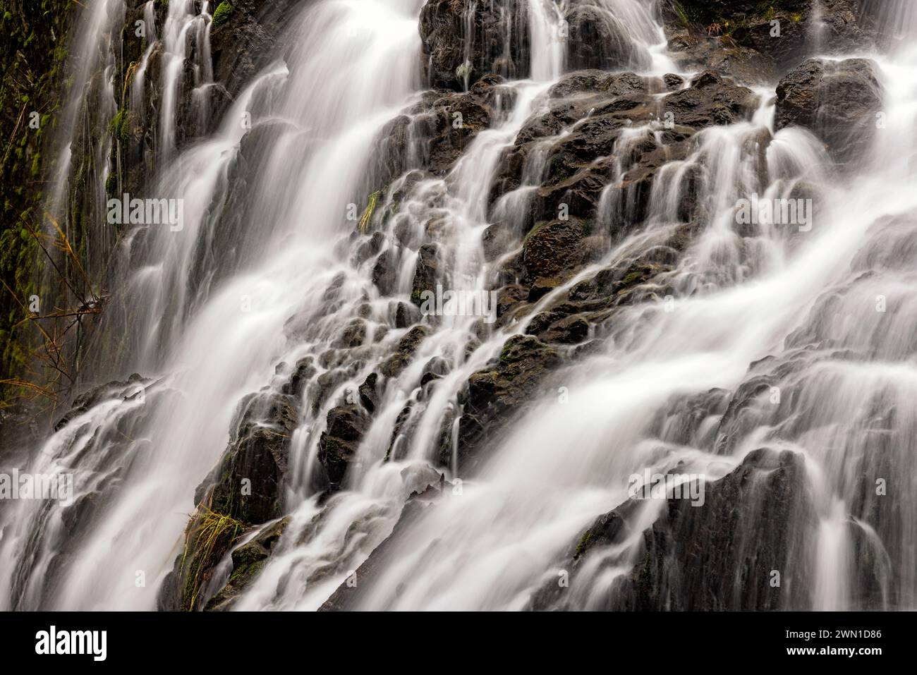Mary Vine Creek Falls - Sooke, Île de Vancouver, Colombie-Britannique, Canada Banque D'Images